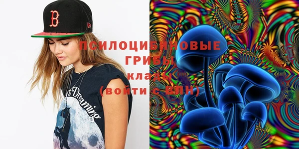 ГАЛЛЮЦИНОГЕННЫЕ ГРИБЫ Балабаново