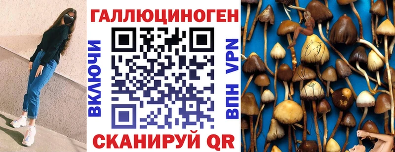Галлюциногенные грибы MAGIC MUSHROOMS  купить наркотик  Камышлов 